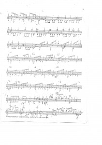 Misak_Toros_La_Tucura_3